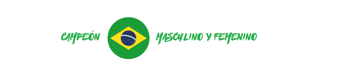 Brasil campe&oacute;n